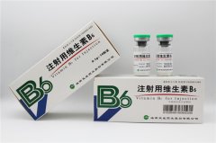 <b>维生素B6</b>